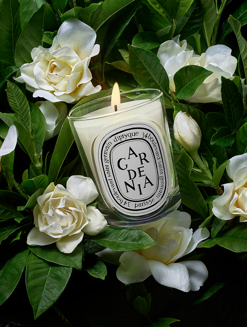 DIPTYQUE Gardenia Classic Candle | Holt Renfrew