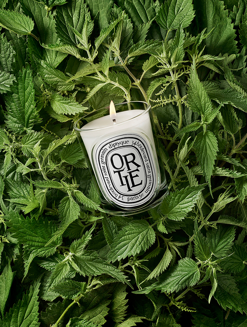 DIPTYQUE Ortie (Nettle) Classic Candle | Holt Renfrew