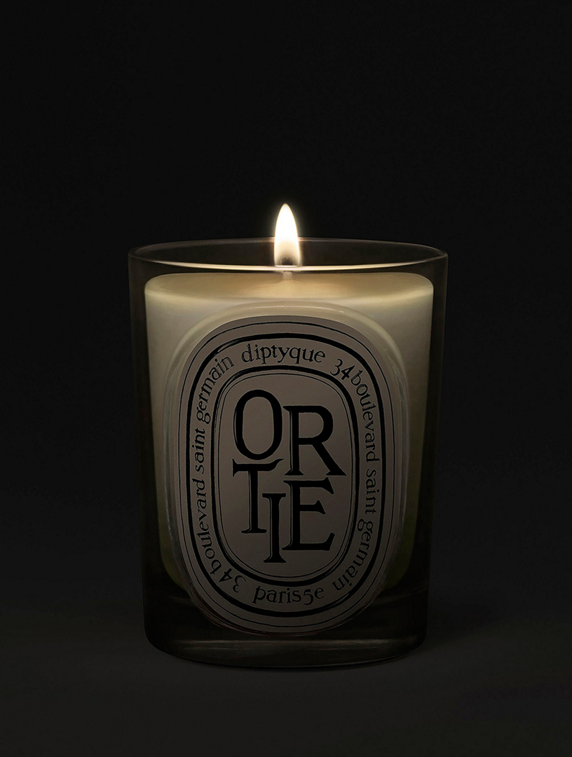 DIPTYQUE Ortie (Nettle) Classic Candle | Holt Renfrew