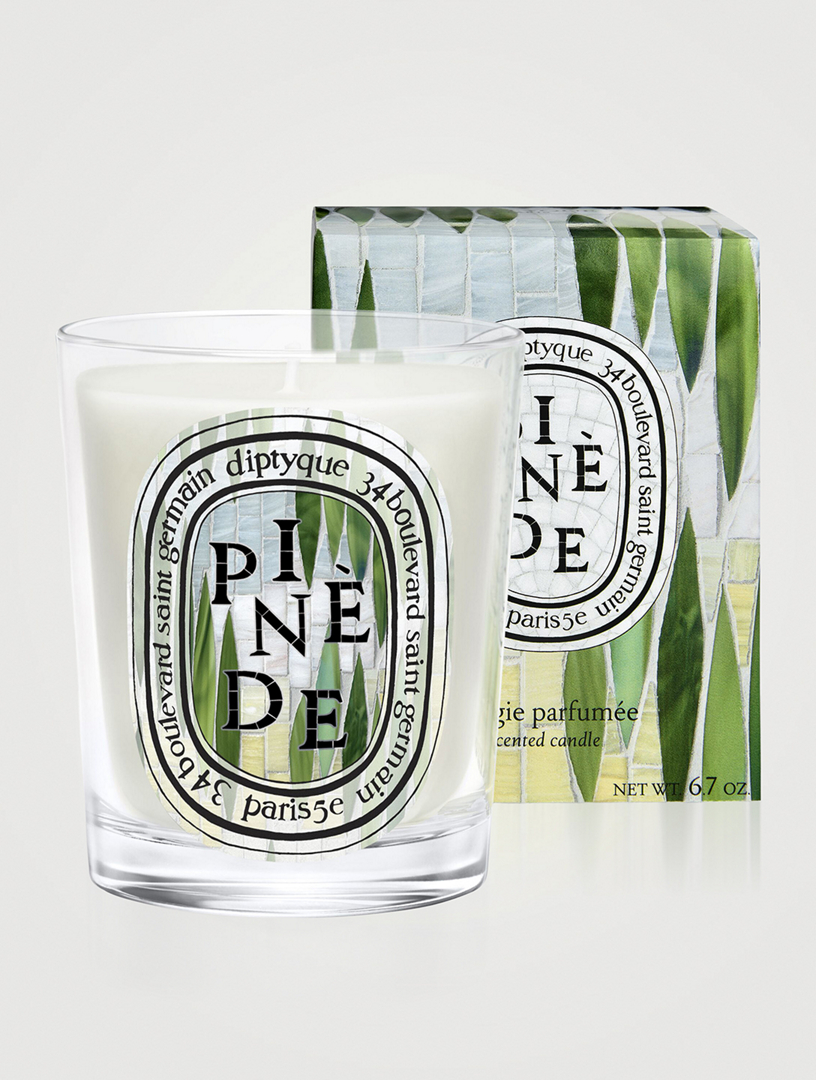 DIPTYQUE Pinède (Pine Grove) Classic Candle | Holt Renfrew