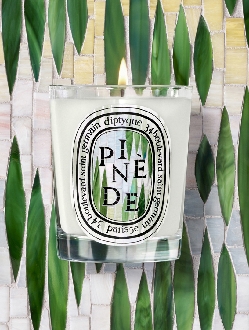 DIPTYQUE Pinède (Pine Grove) Classic Candle | Holt Renfrew