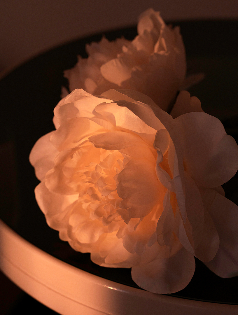 EX NIHILO Lust In Paradise Extrait de Parfum | Holt Renfrew
