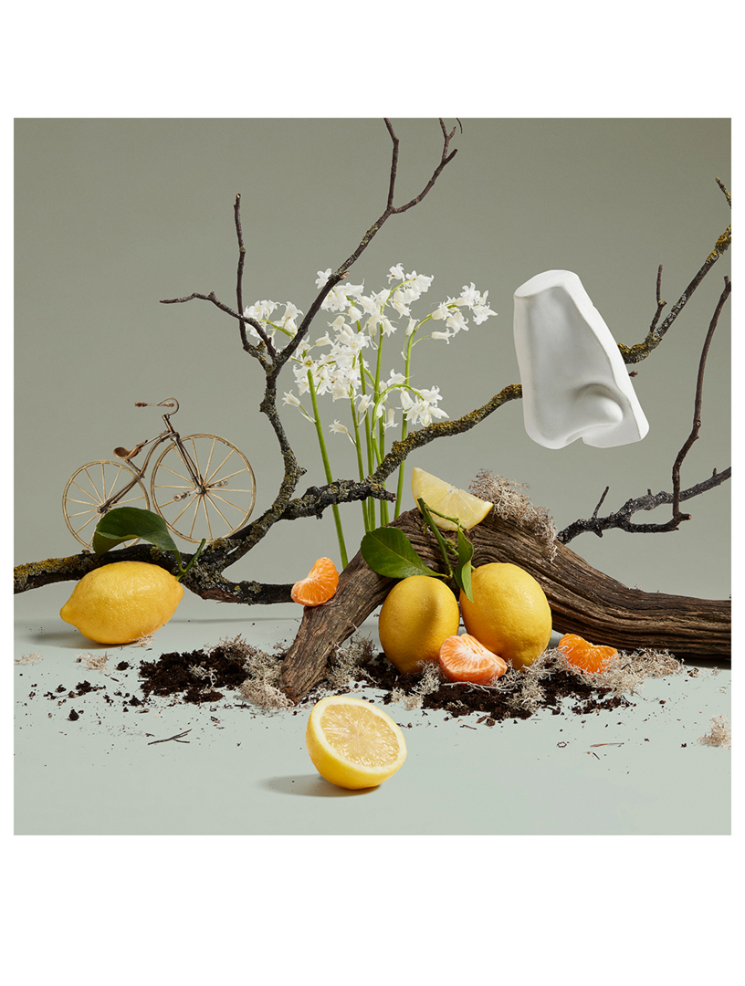 PENHALIGON'S Quercus Eau de Cologne | Holt Renfrew