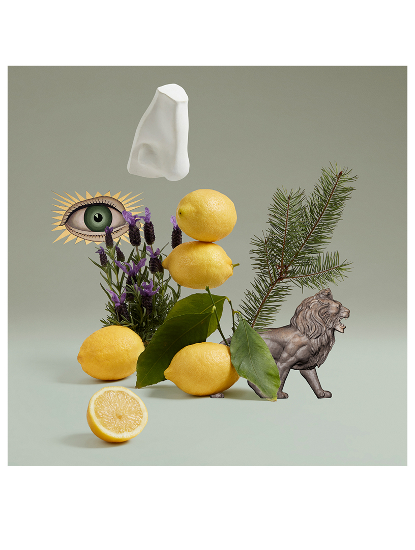 PENHALIGON'S Blenheim Bouquet Eau de Toilette | Holt Renfrew