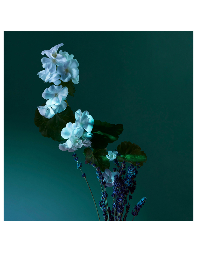 A Balm of Calm Eau de Parfum