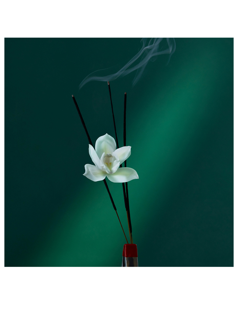 Eau the Audacity Eau de Parfum