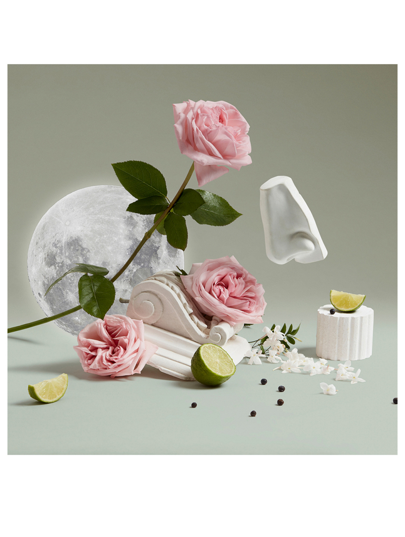 Luna Hand Cream