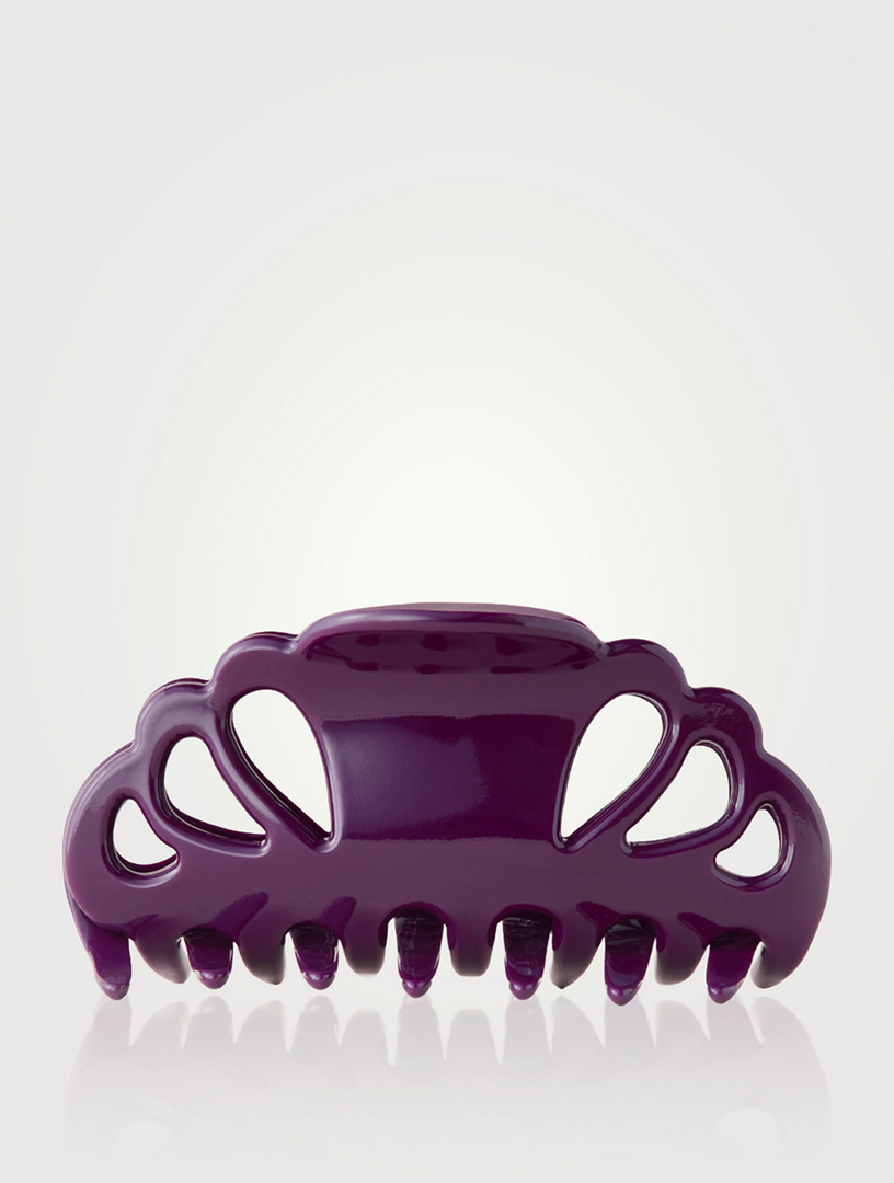 Icon Clip - Fig