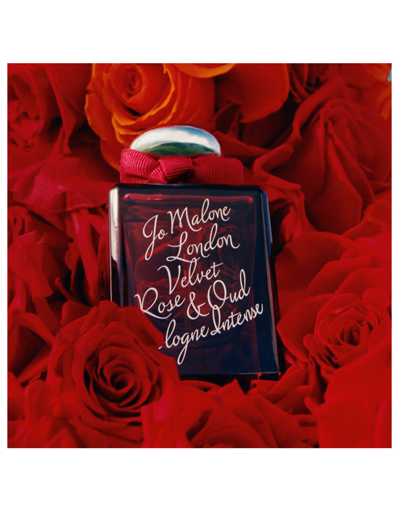 JO MALONE LONDON Velvet Rose & Oud Cologne Intense | Holt Renfrew