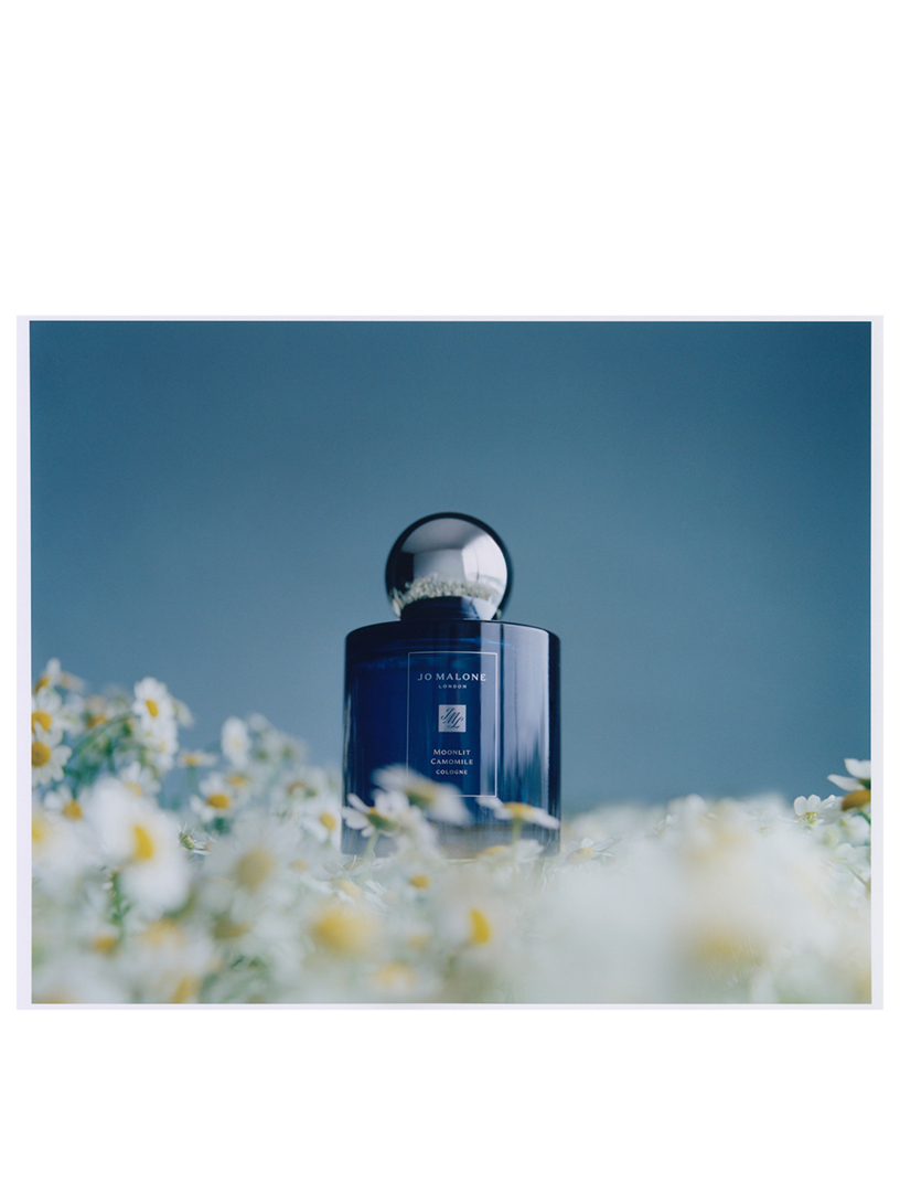香水(ユニセックス) JO MALONE Moonlit Camomile Cologne 100ml Moonlit Camomile Cologne | Canada E-commerce Site - French
