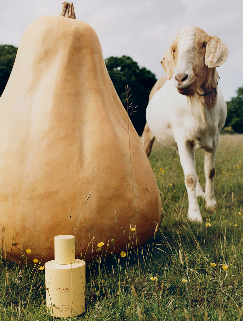 Designer Perfume & Fragrance for Women | Holt Renfrew