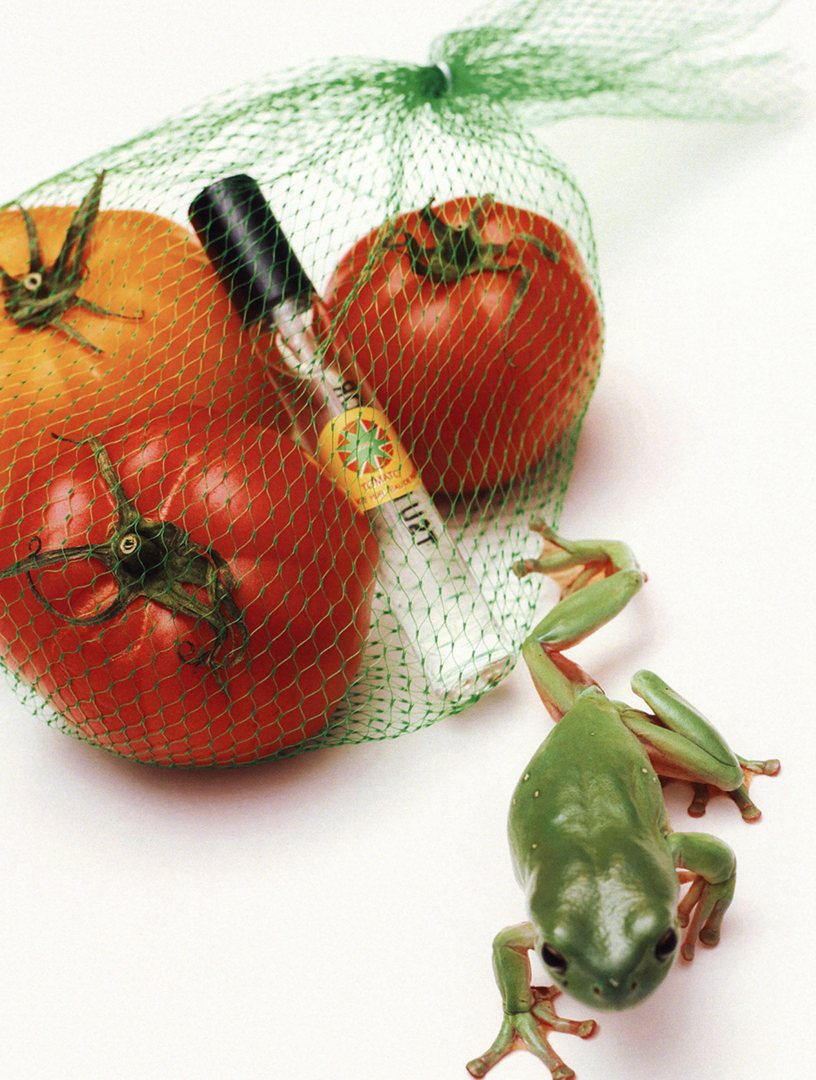 TSU LANGE YOR The Garden Discovery Set | Holt Renfrew