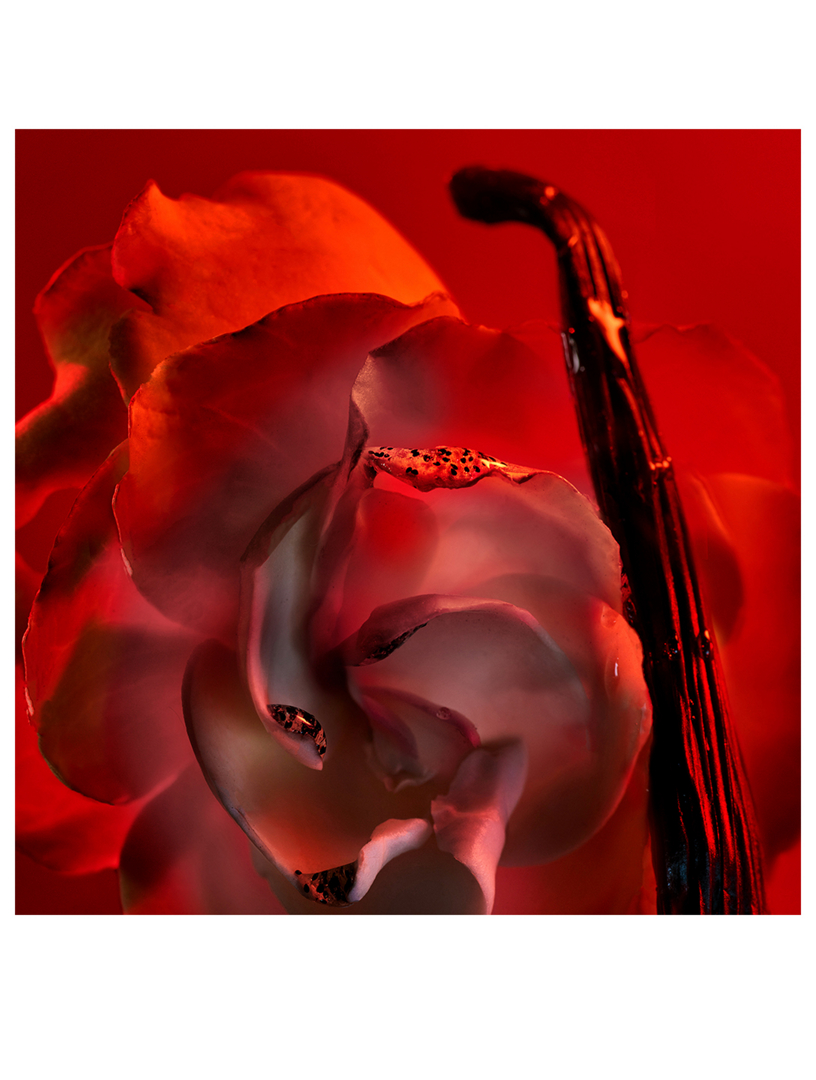 BVLGARI Allegra Baciami Eau De Parfum | Holt Renfrew