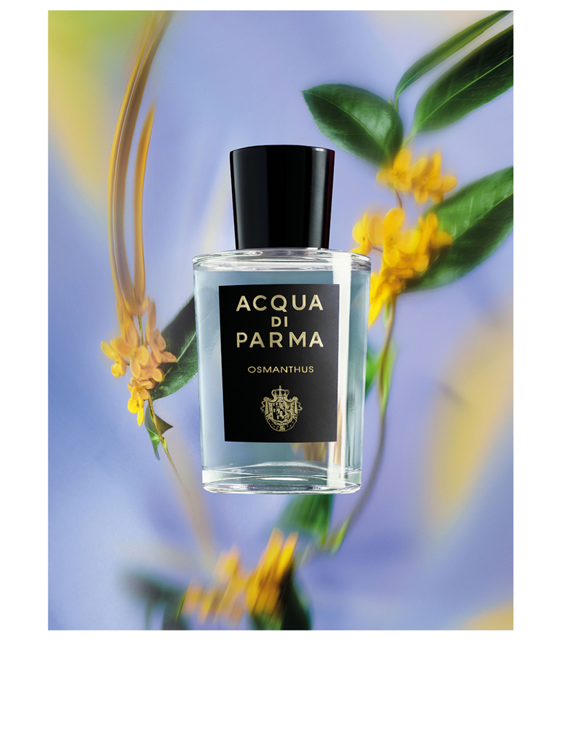 Acqua di 2024 parma osmanthus