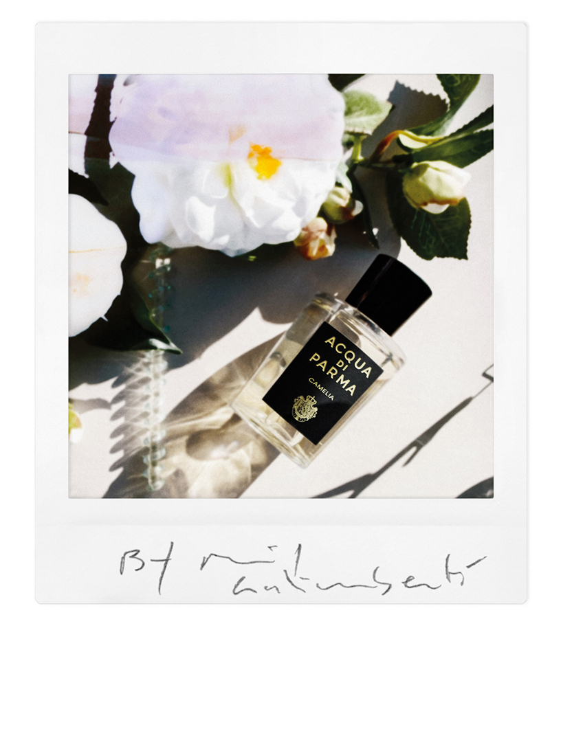 Acqua di best sale parma camelia review