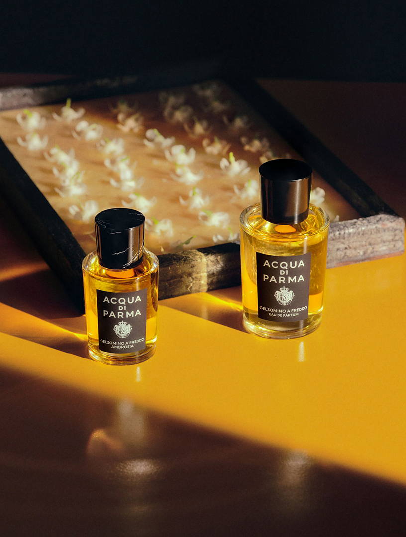 ACQUA DI PARMA Gelsomino A Freddo Eau de Parfum | Holt Renfrew