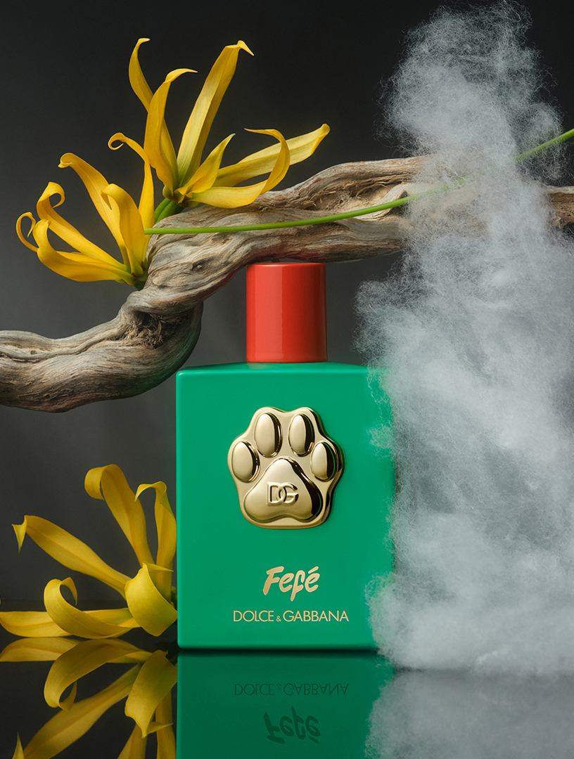DOLCE & GABBANA Fefé Dog Mist | Holt Renfrew