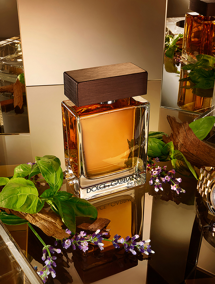 DOLCE & GABBANA The One for Men Eau de Toilette | Holt Renfrew