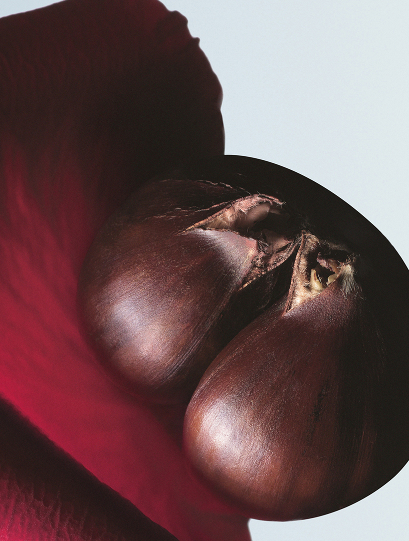 DRIES VAN NOTEN Soie Malaquais Eau de Parfum | Holt Renfrew