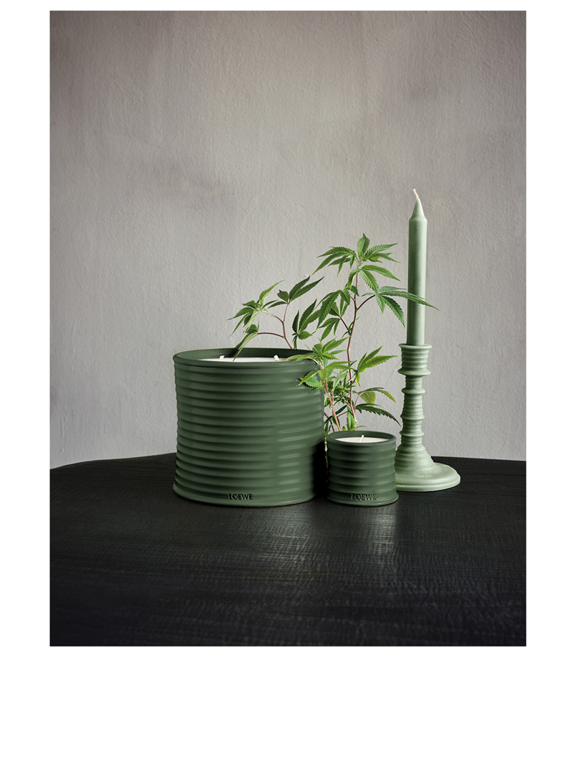 LOEWE Scent of Marihuana Candle | Holt Renfrew