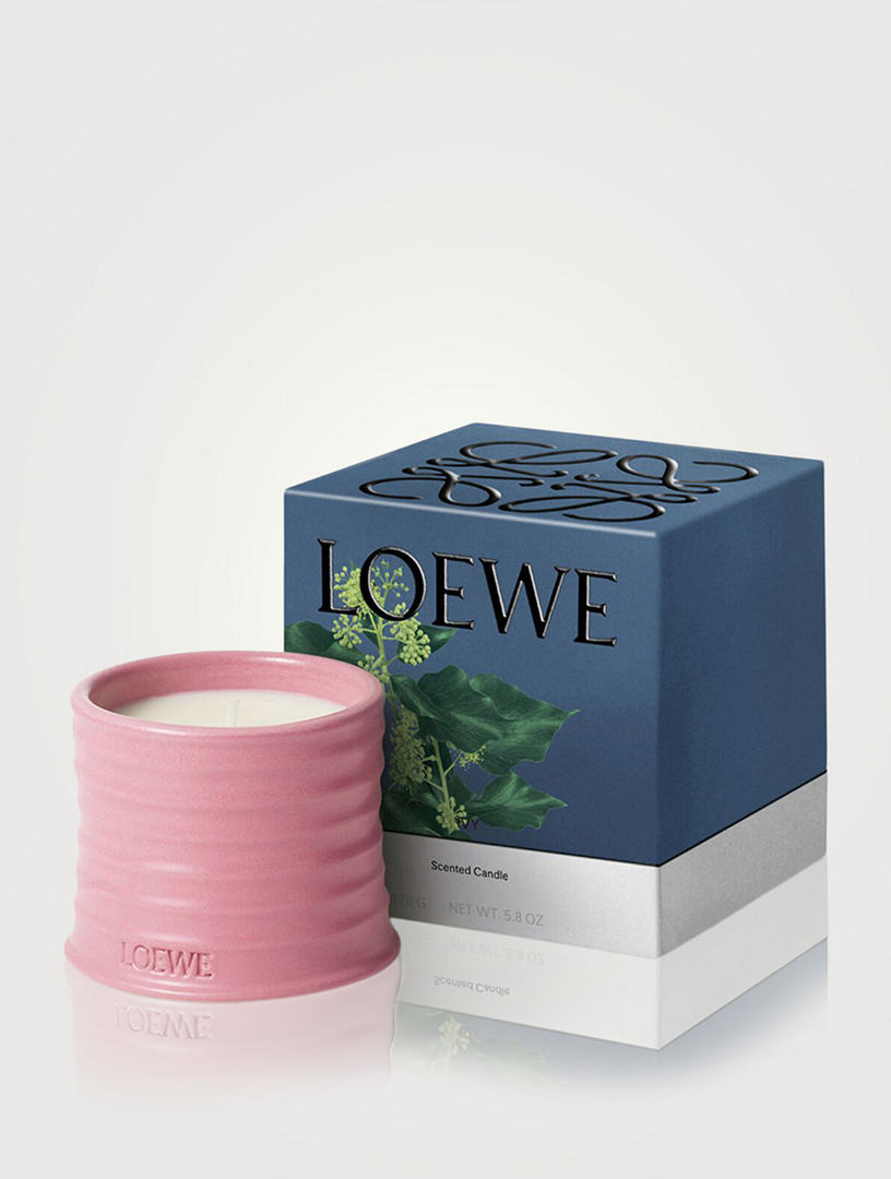 LOEWE ロエベ キャンドル　ivy LOEWE Ivy Candle | Holt Renfrew