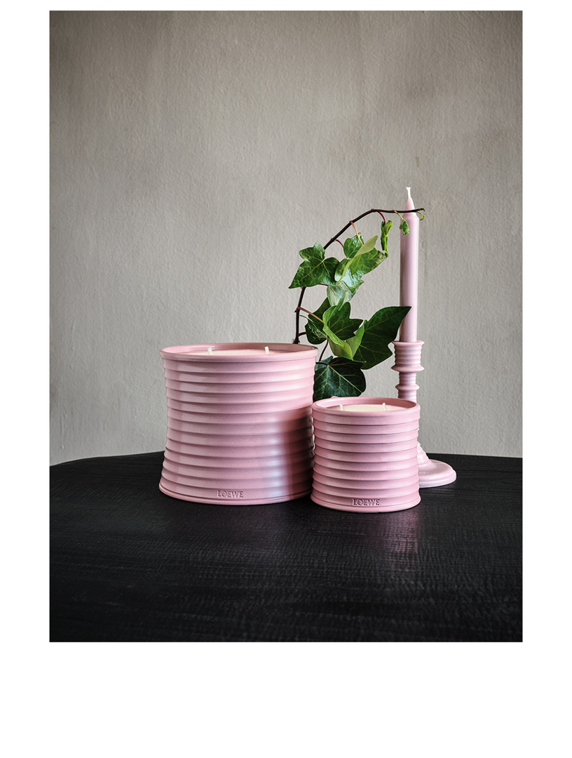 Ivy Wax Candleholder