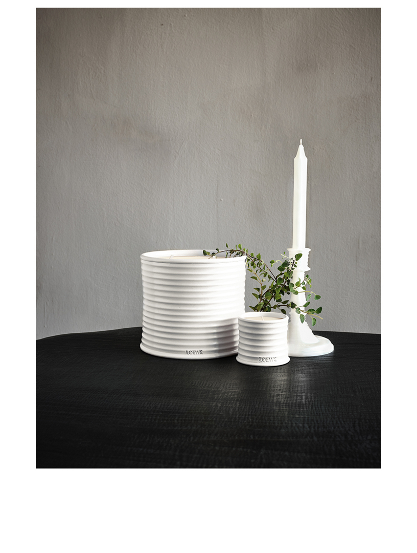 Oregano Wax Candleholder