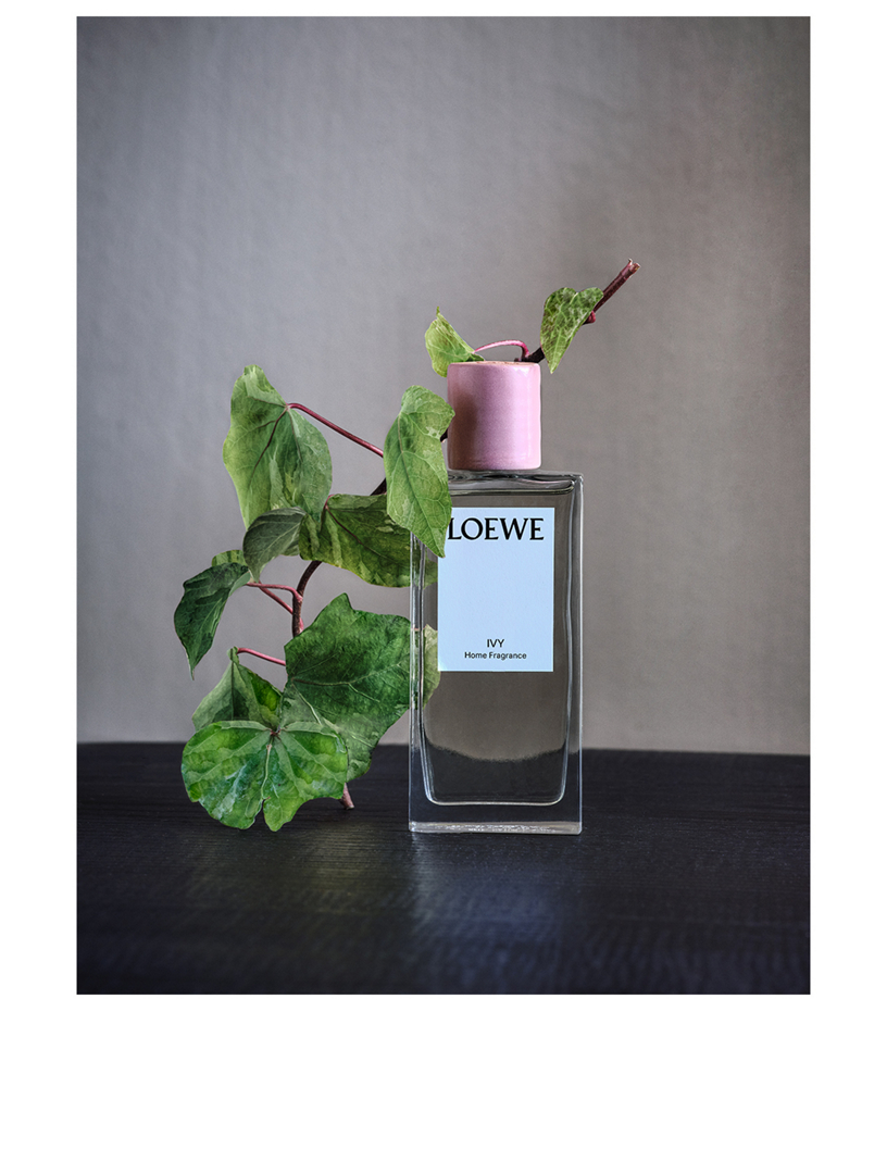 Ivy Home Fragrance