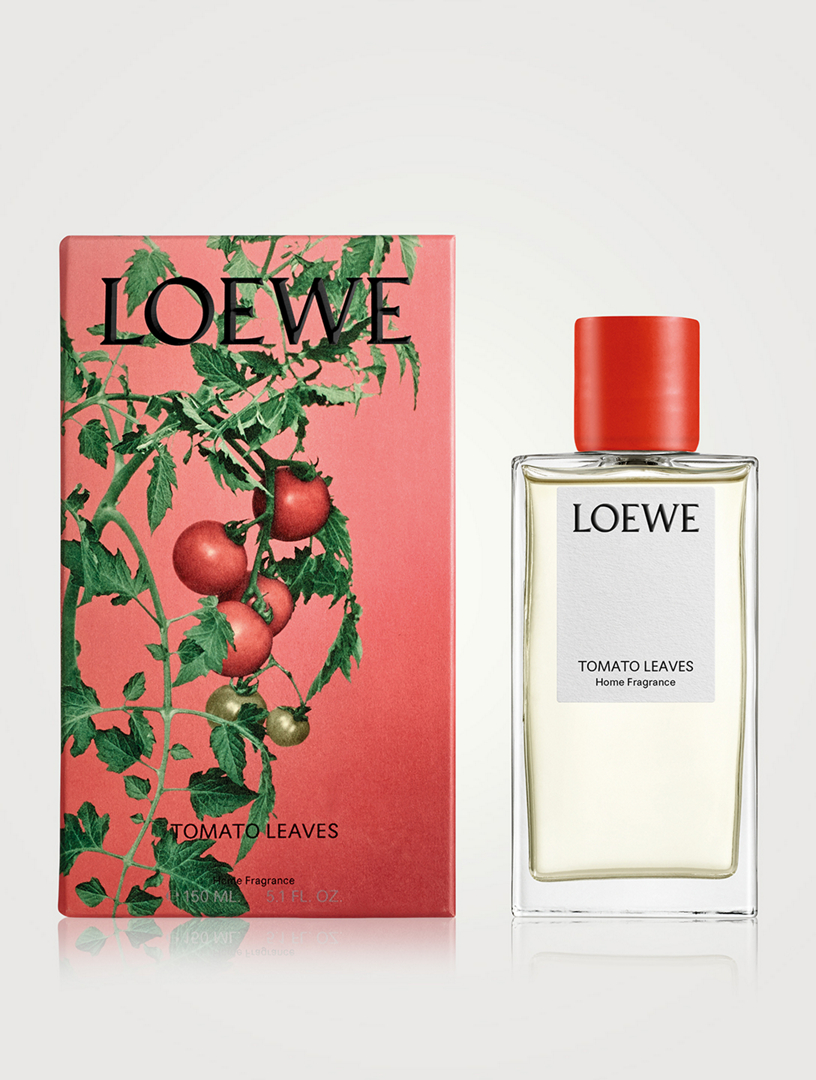 LOEWE Tomato Leaves Home Fragrance | Holt Renfrew