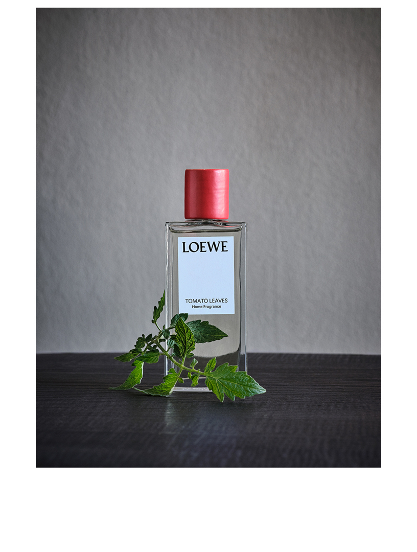 ハンドクリーナー【LOEWE、tomato leaves】 LOEWE Tomato Leaves Hand Cleanser | Holt Renfrew