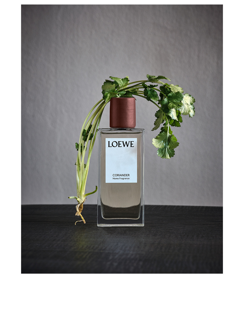 Loewe coriander perfume new arrivals