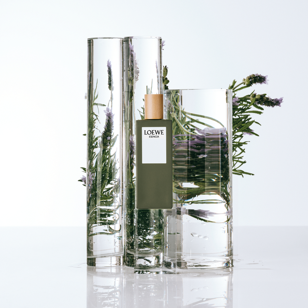 【Harushh 】LOEWEESENCIA Eau deToilette LOEWE Esencia Eau de Toilette | Holt Renfrew