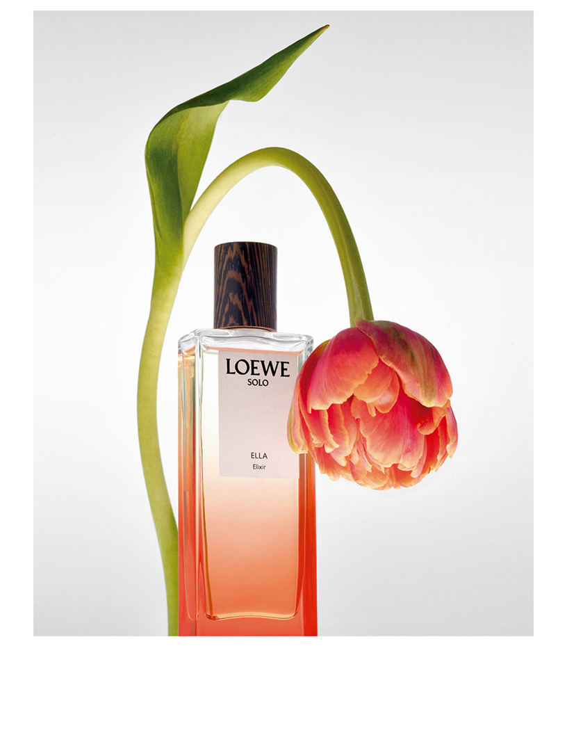 Loewe ella hot sale