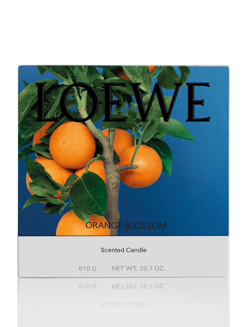Loewe orange best sale