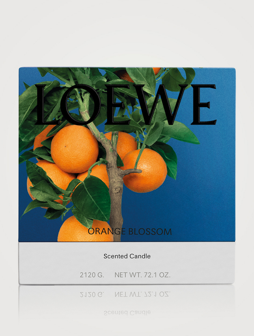 Loewe orange hot sale