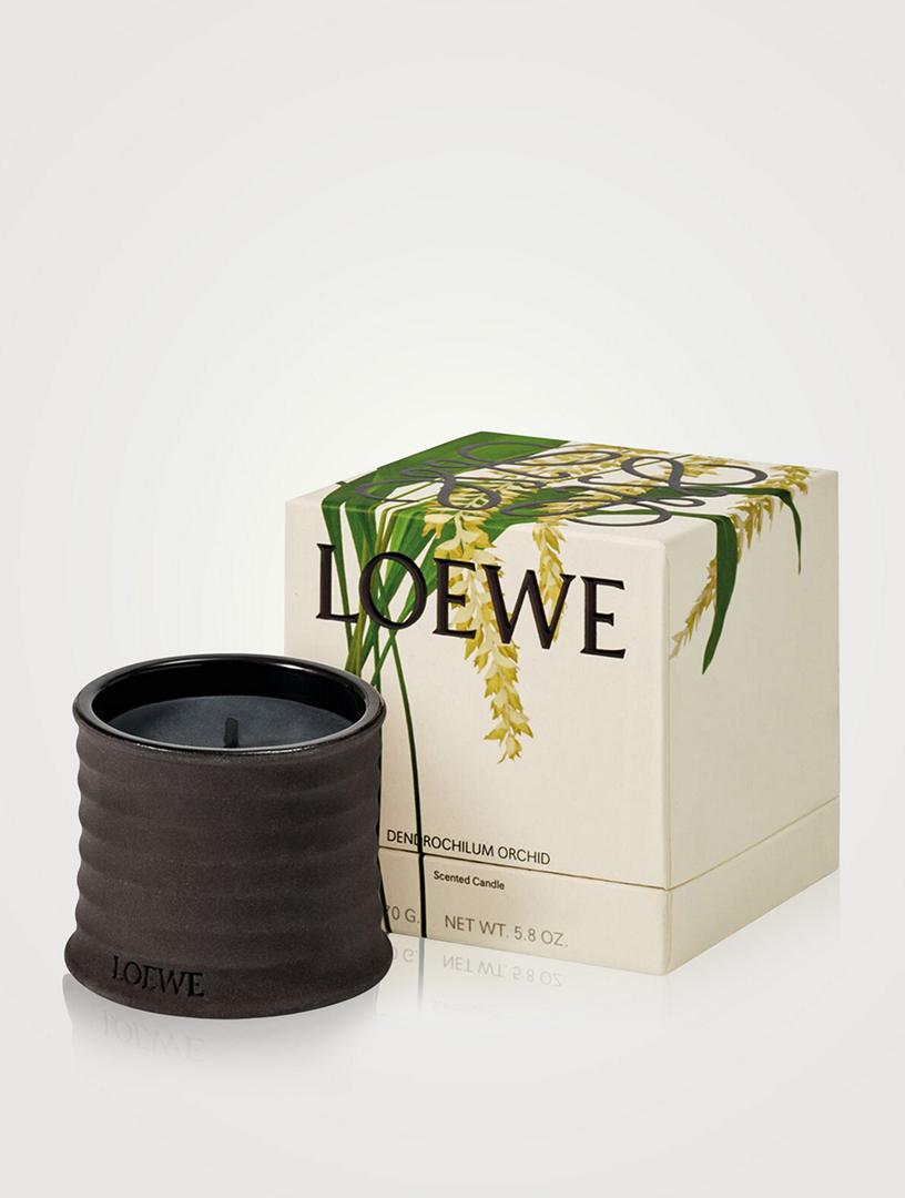 [LOEWE]Dendrochilum Magnum Orchid キャンドル u_8426017079860_02?$Thumbnail$