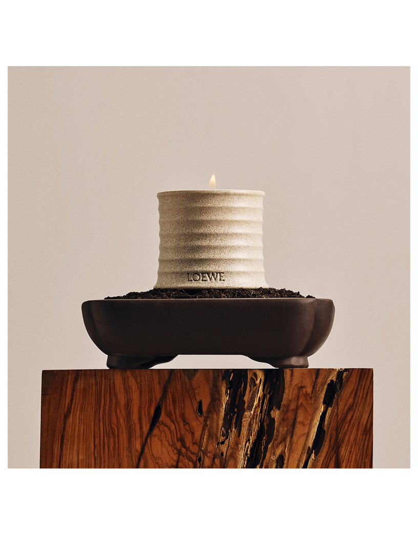 LOEWE Polianthes Candle | Holt Renfrew