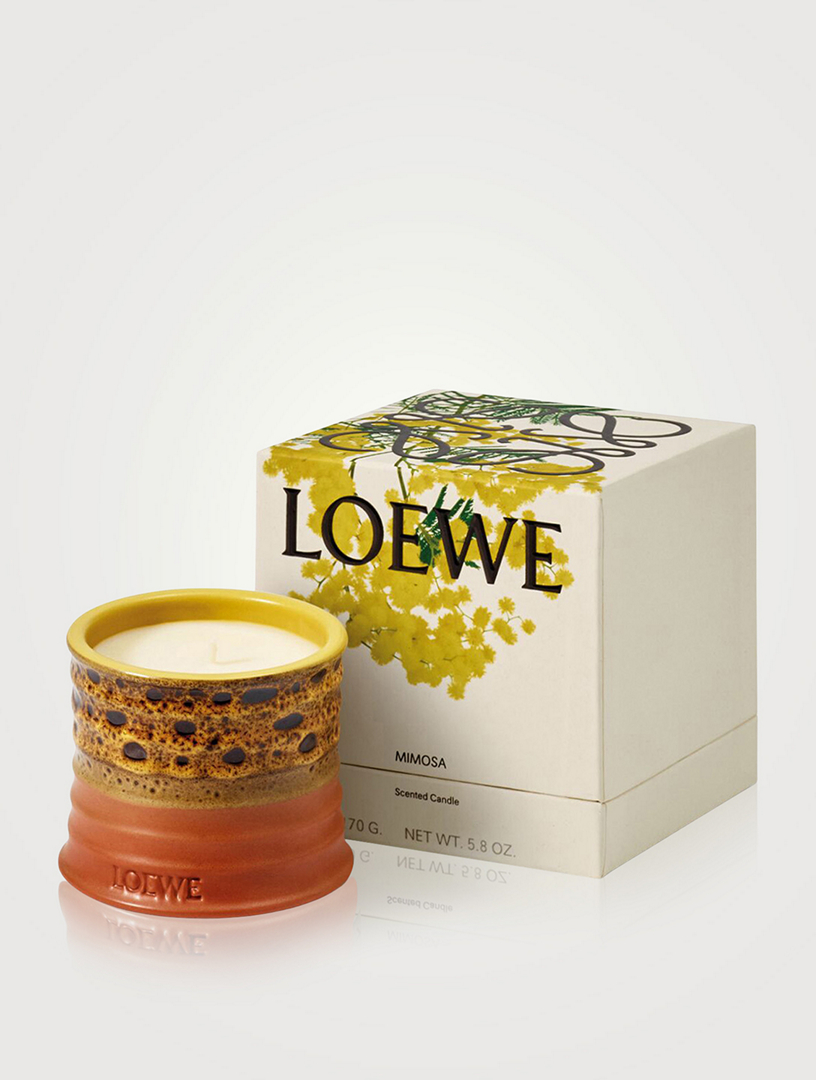 LOEWE Mimosa Candle | Holt Renfrew