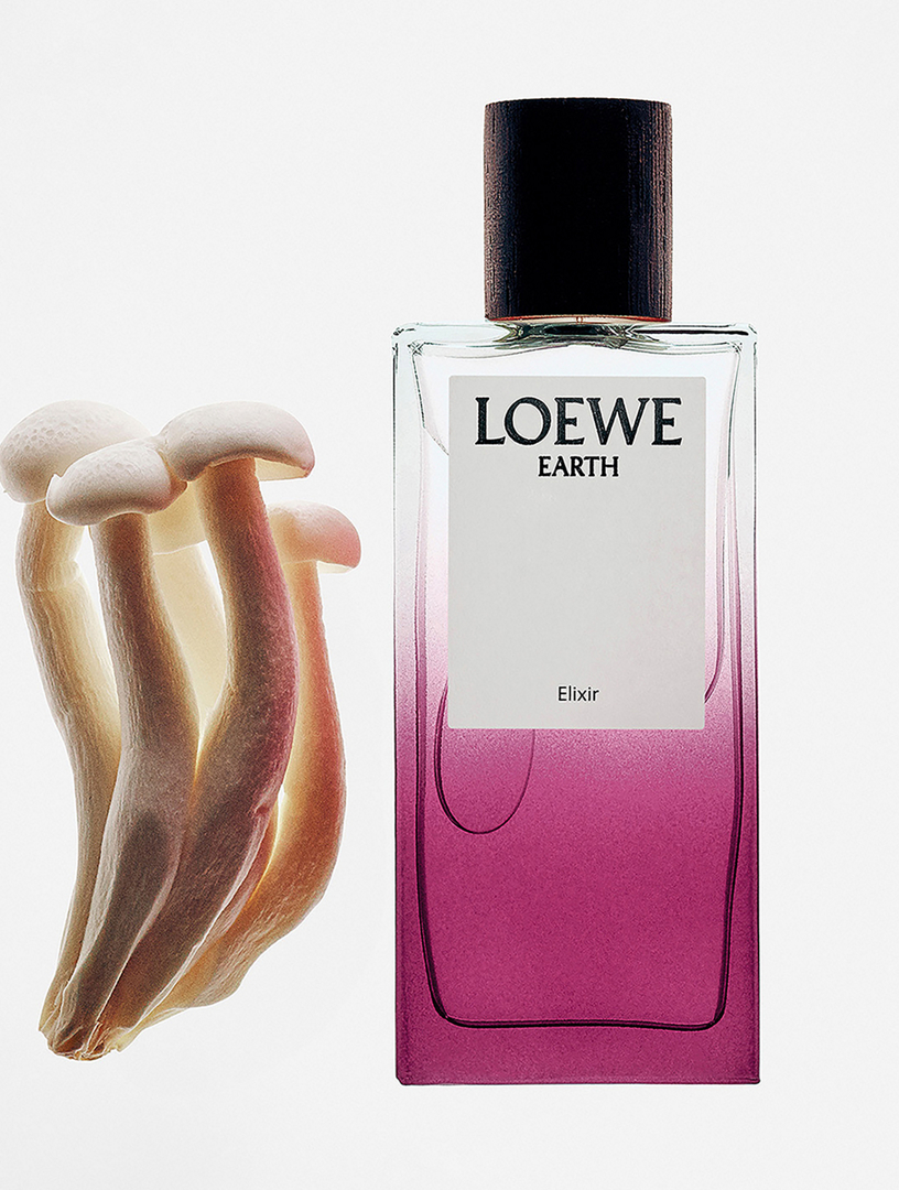 LOEWE Elixir Earth | Holt Renfrew