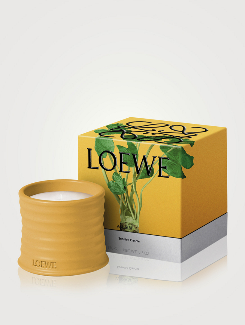 LOEWE Wasabi Candle | Holt Renfrew