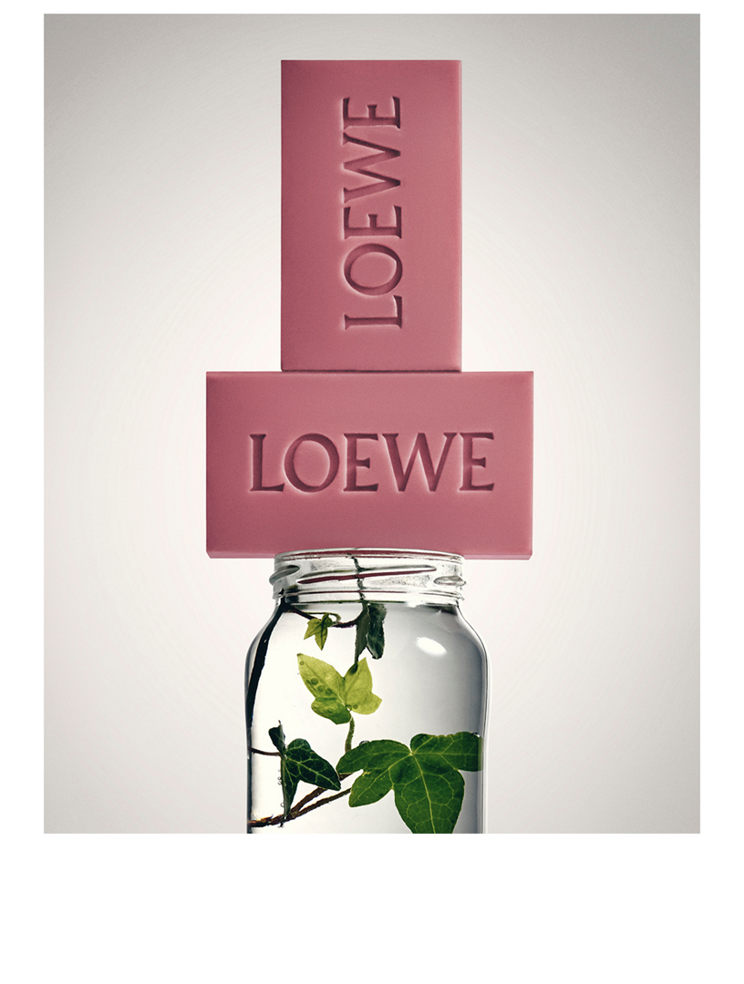 LOEWE Ivy Small Solid Soap Duo Set | Holt Renfrew