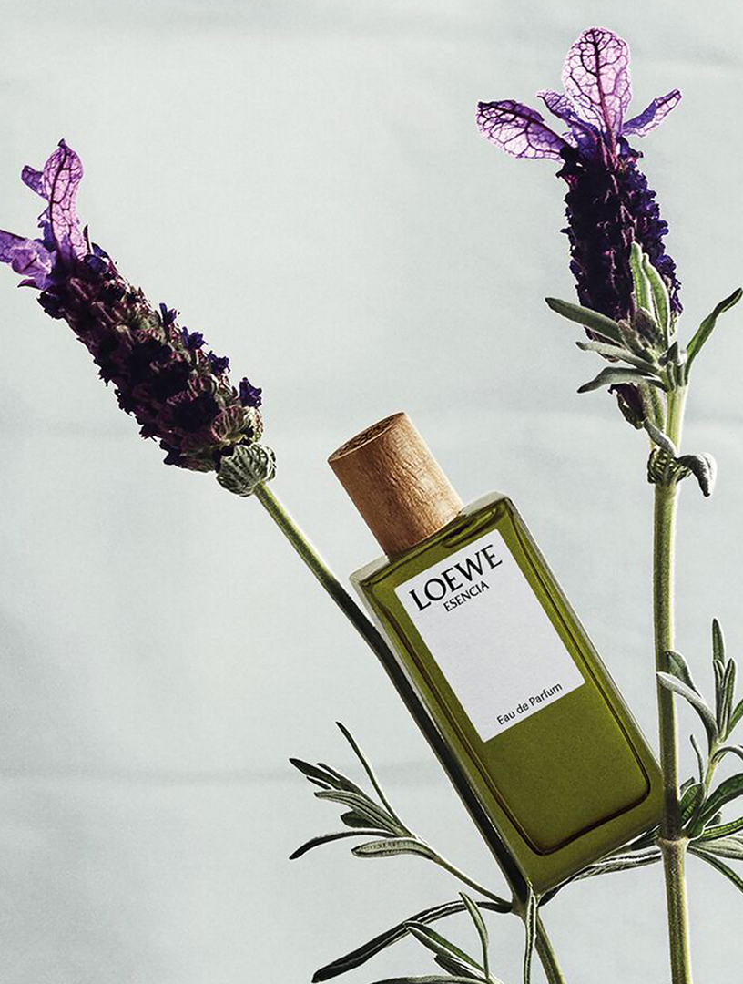 LOEWE Miniature Set | Holt Renfrew