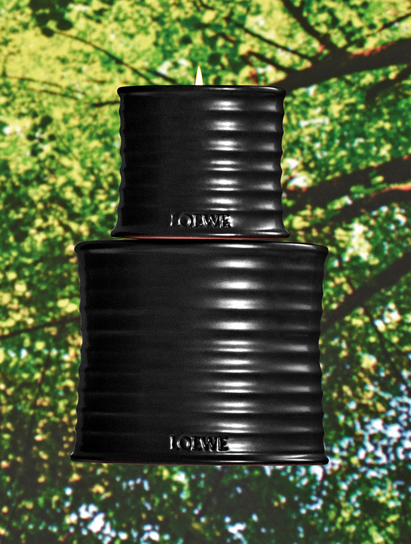 LOEWE Palo Santo Candle Medium | Holt Renfrew