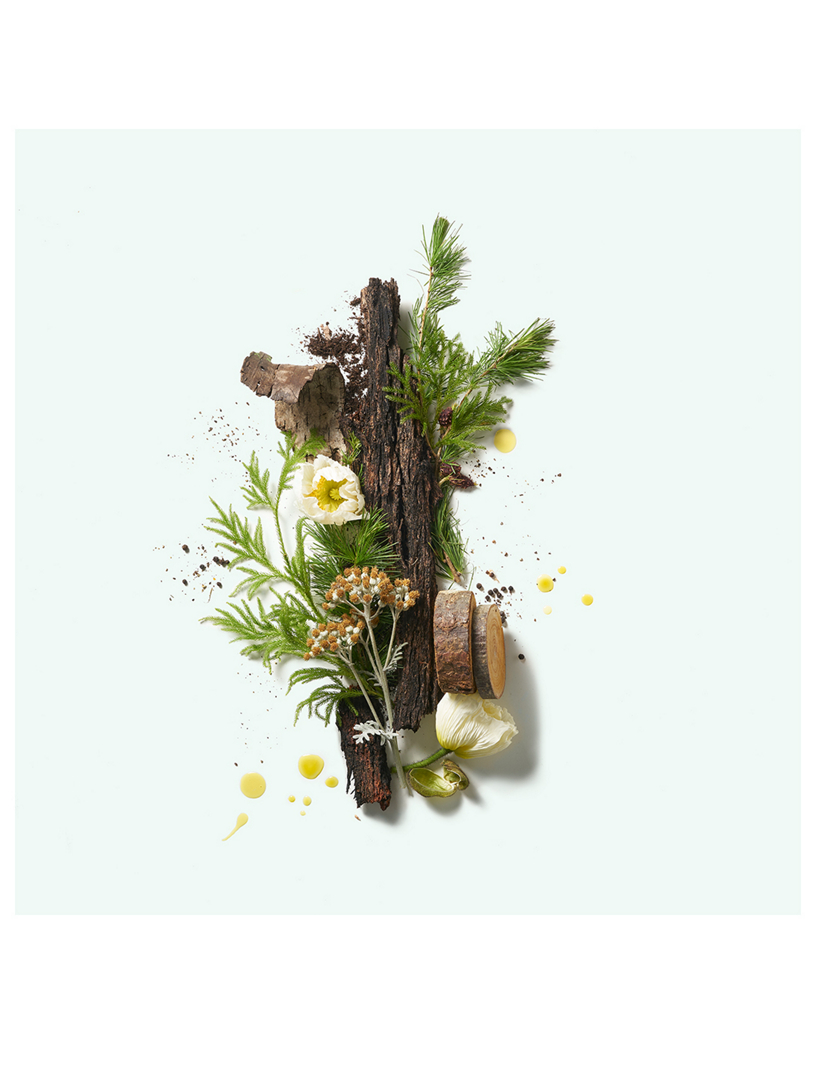 Cedar Flora Deodorant Stick