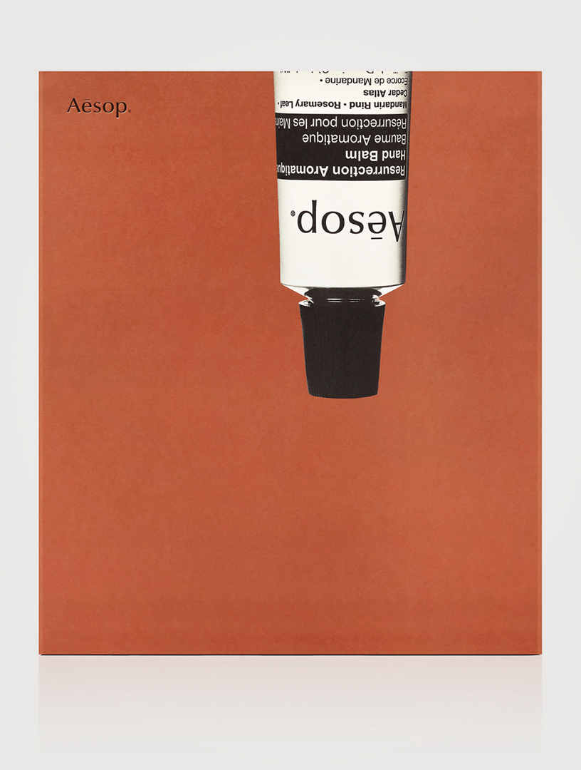 AESOP Advent Calendar | Holt Renfrew