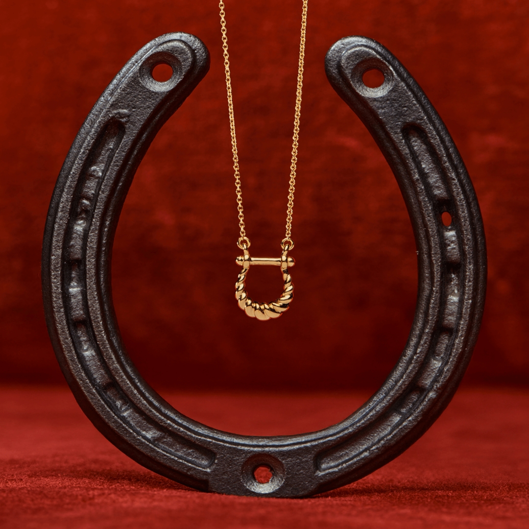A golden necklace hanging over a horseshoe