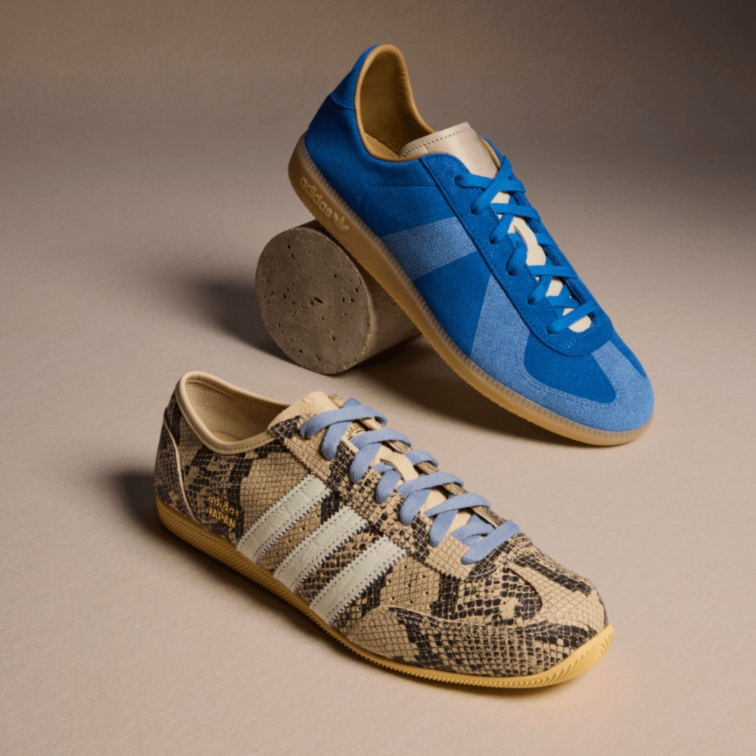 Two stylish Adidas shoes sit on a canvas / Deux chaussures Adidas élégantes sont posées sur une toile.