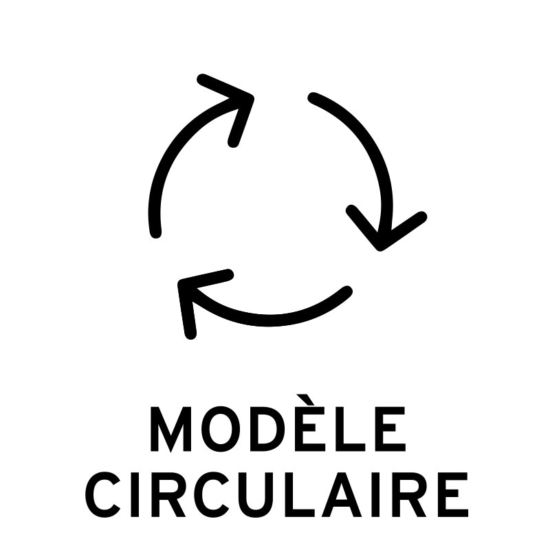 modèle ciruculaire